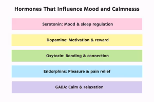 Mood and Mind: A Nutritionist’s Perspective